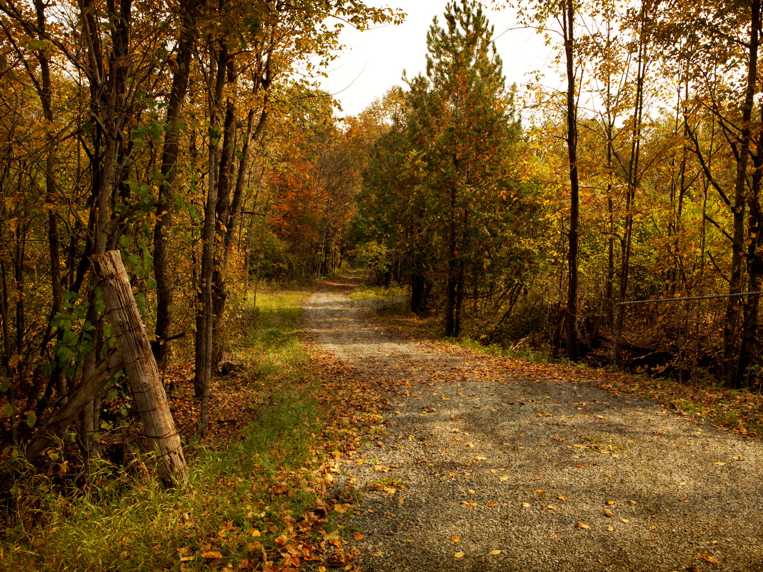 Winding country road, southern Ontario